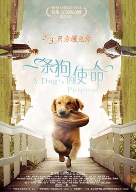 没事干的小美女